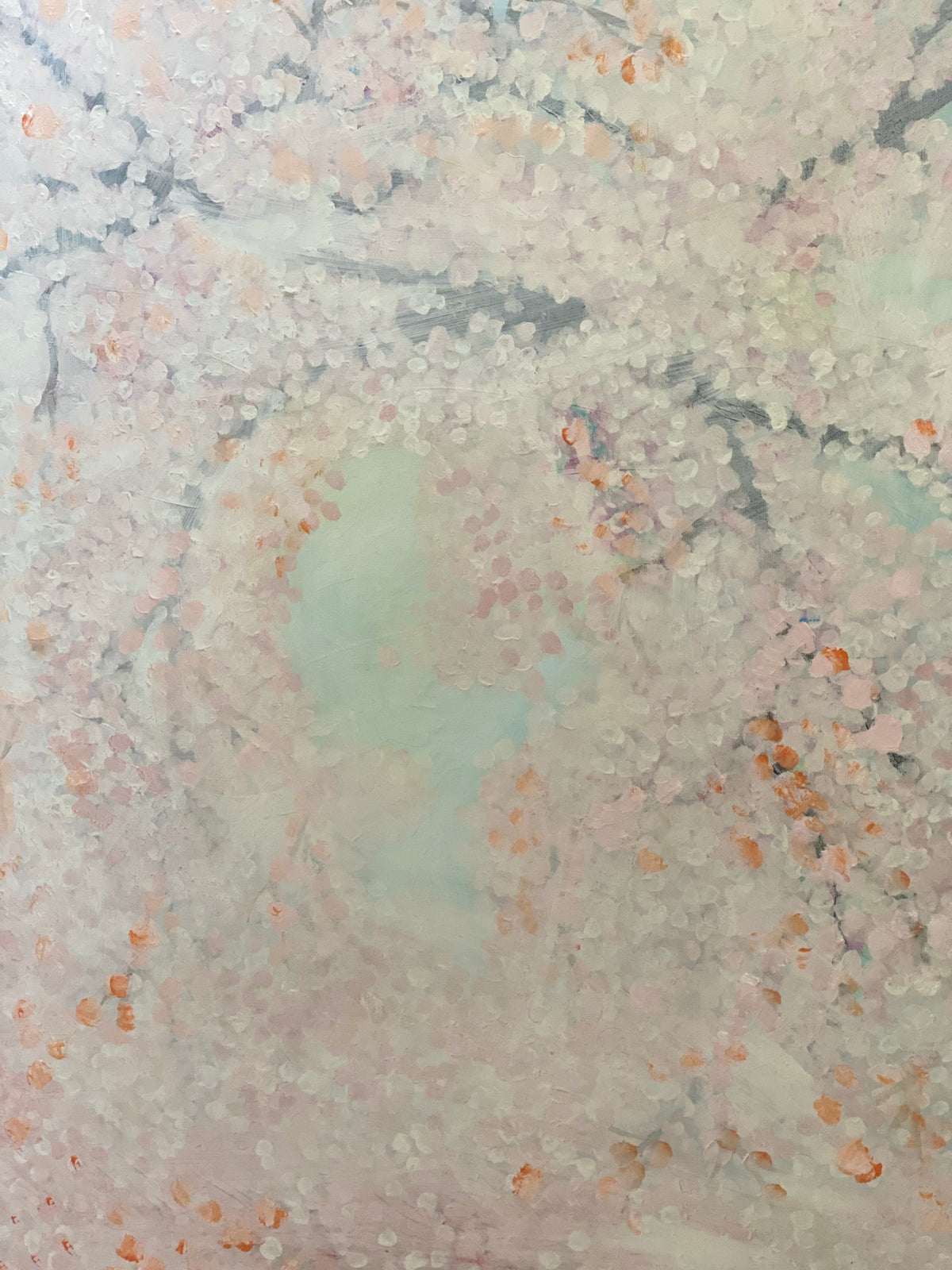 Japanese cherry blossom in the mist